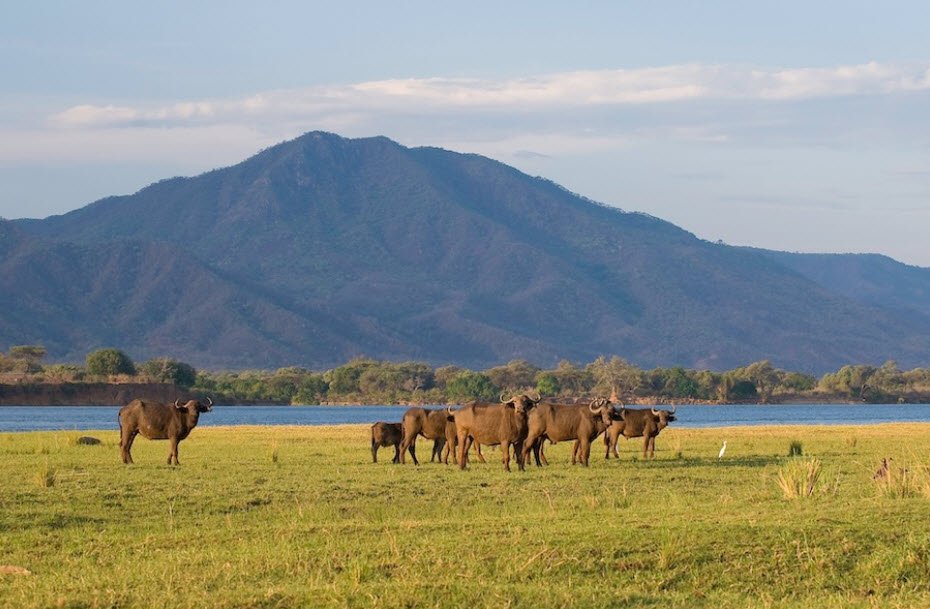 Lower Zambezi National Park, Lusaka Province (Near Chirundu), Zambia